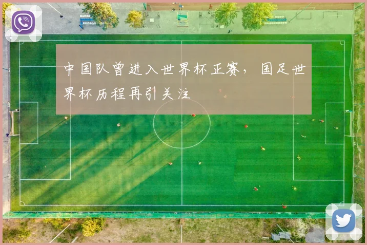 中国队曾进入世界杯正赛，国足世界杯历程再引关注