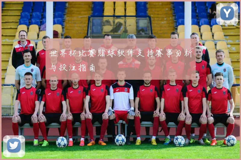 世界杯比赛赌球软件支持赛事分析与投注指南