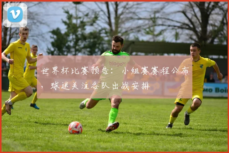 世界杯比赛预告：小组赛赛程公布，球迷关注各队出战安排