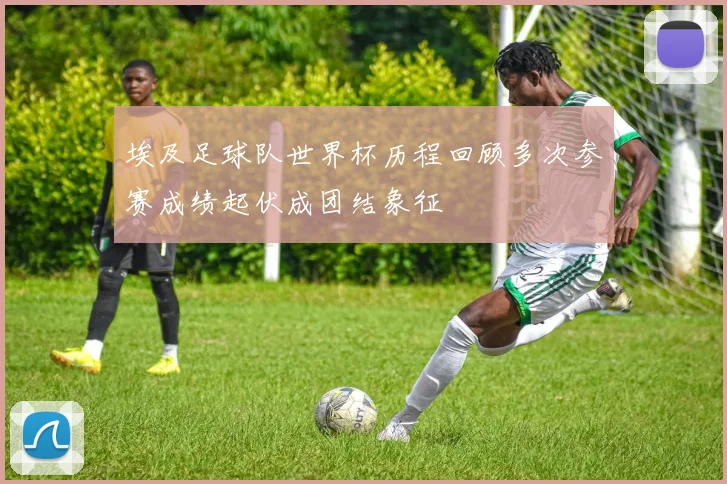 埃及足球队世界杯历程回顾多次参赛成绩起伏成团结象征